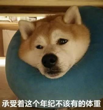 跨年狂歡，開(kāi)業(yè)有禮，來(lái)氧樂(lè)仕解鎖新玩法！