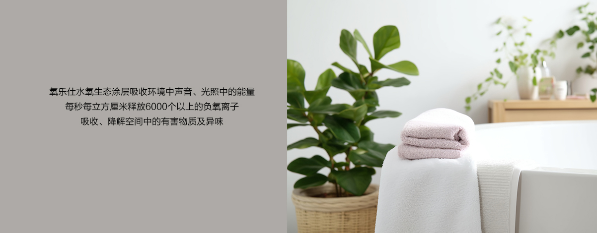 衛(wèi)生間/ 衛(wèi)生間