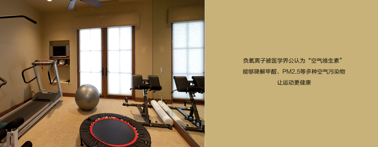 健身房/ 健身房