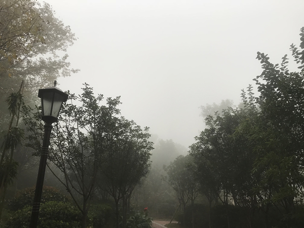這樣的“仙境”，不要也罷！