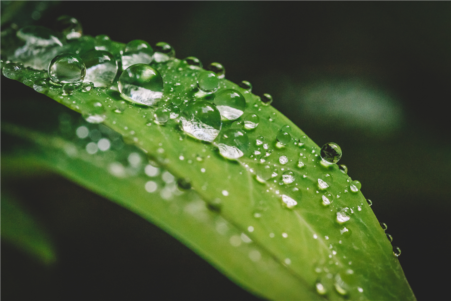 當三伏天遇上暴雨，這些防潮措施要做好！
