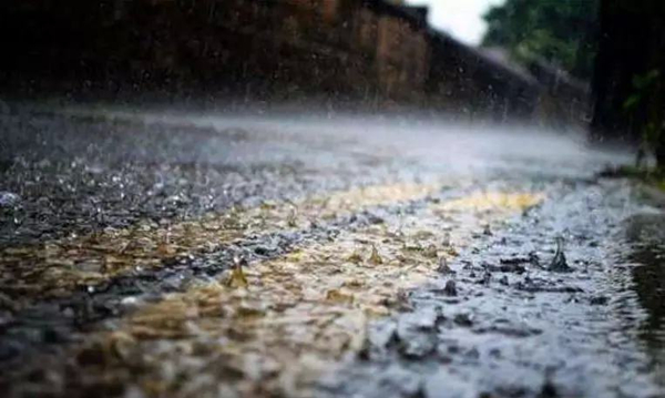 暴雨頻頻“上線”，家里墻面受潮發(fā)霉怎么辦？