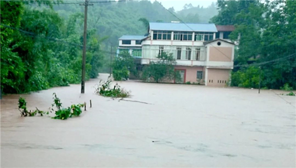 暴雨頻頻“上線”，家里墻面受潮發(fā)霉怎么辦？