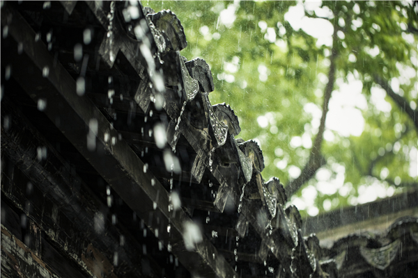 暴雨頻頻“上線”，家里墻面受潮發(fā)霉怎么辦？