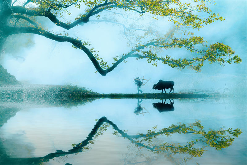 清明節(jié)︱緬懷過(guò)去，珍惜當(dāng)下！