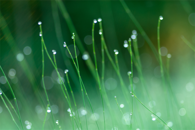 小暑節(jié)氣│炎風(fēng)暑雨萬物長 小暑節(jié)氣│炎風(fēng)暑雨萬物長