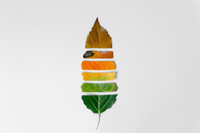立秋│暑熱未消，秋意漸顯