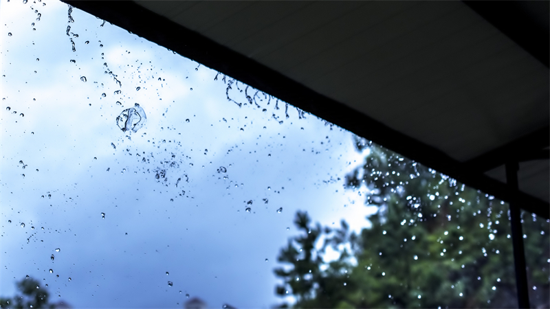雨水節(jié)氣︱和風(fēng)攜細(xì)雨，萬物喚春歸