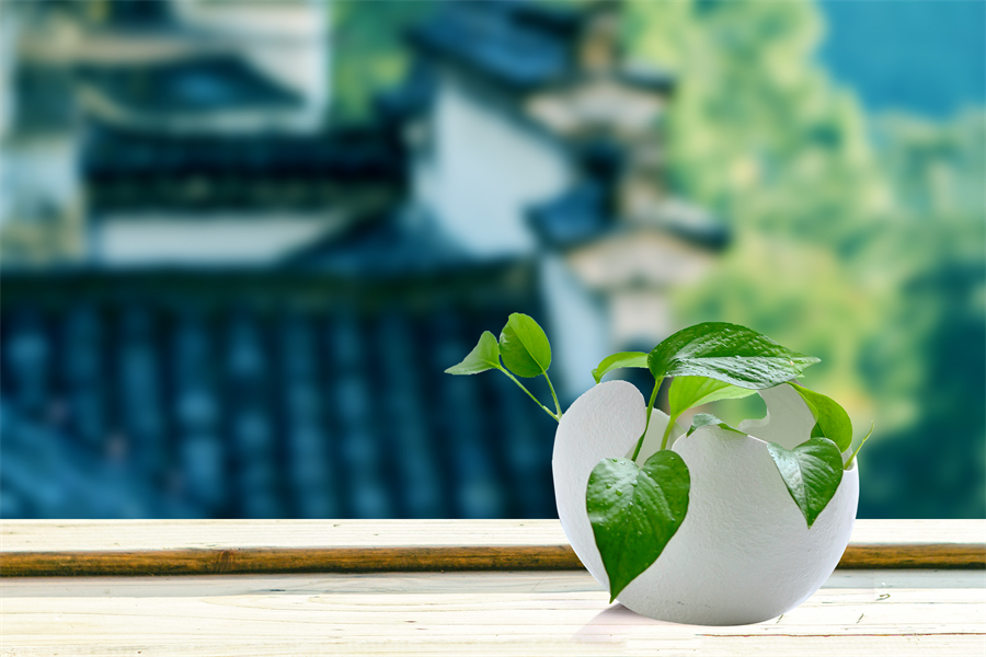 立夏節(jié)氣︱盼夏來迎暑，萬物發(fā)生機