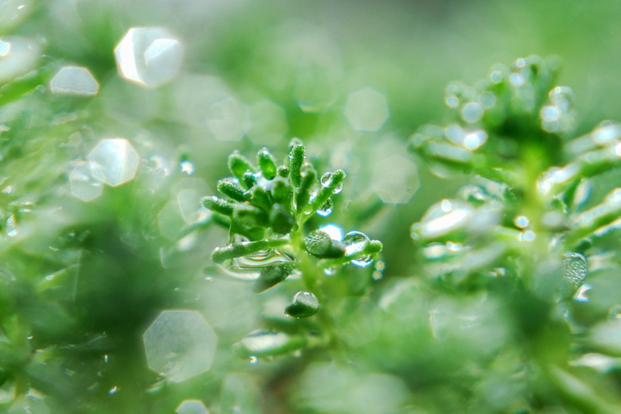 雨水節(jié)氣裝修：順應(yīng)時節(jié)，打造舒適美家